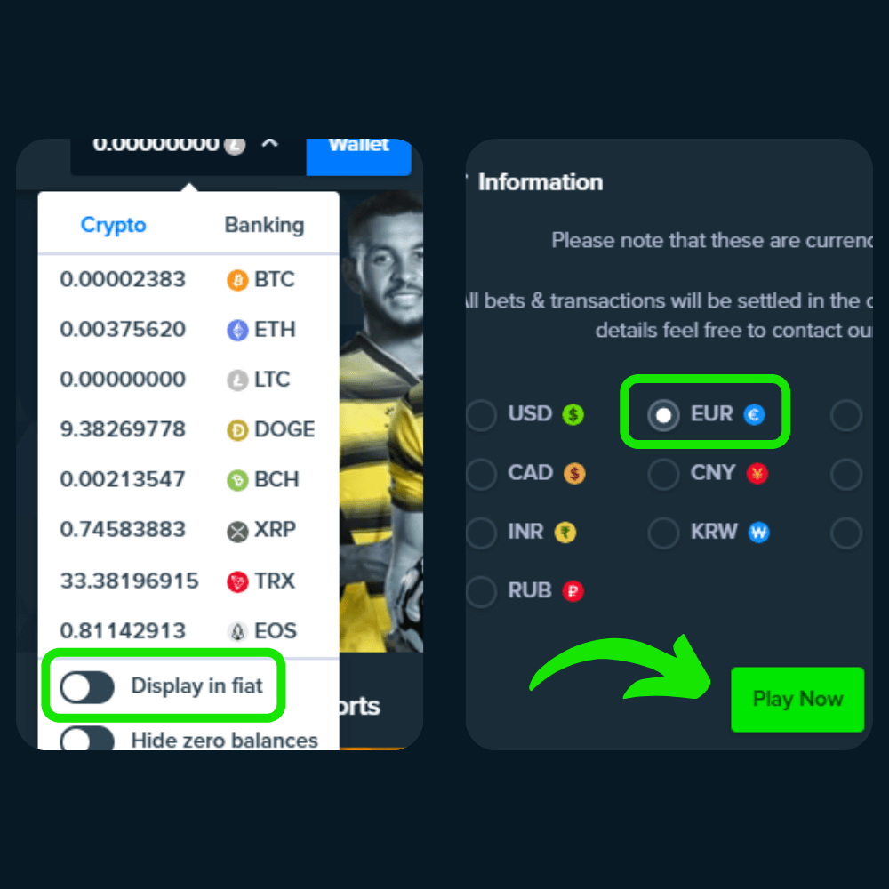 How to play on stake.com for German player complete guide